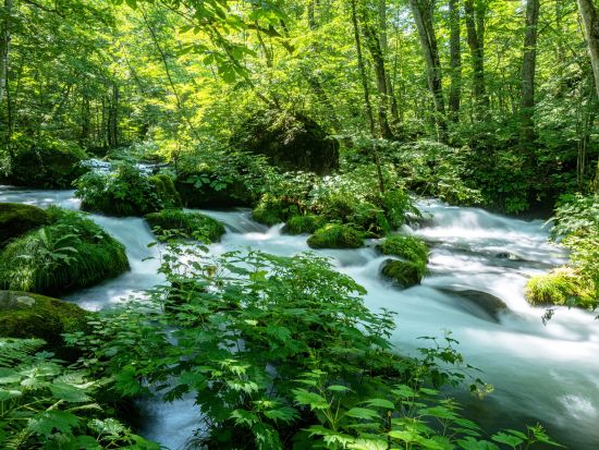 貸切観光タクシー 　青森県人気観光地の奥入瀬渓流と十和田湖を巡る5時間コース＜1～9名／八戸駅・八戸市内発十和田湖湖畔着＞by ポストタクシー