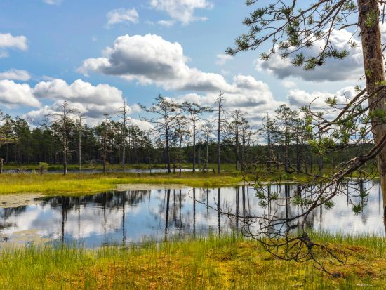 ラヘマー国立公園　日帰り観光ツアー ＜車＋ガイド貸切／タリン発＞