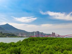 新北─八里左岸乘風單車行(示意圖.shutterstock_1974984359)─關渡大橋