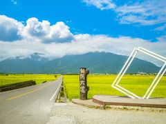 台東─伯朗大道(shutterstock_1692815674)─僅供刊物用途