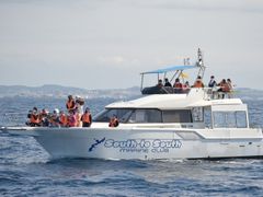 IMG_1919