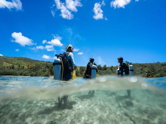 体験ダイビング ベテラン日本人インストラクターの楽しく丁寧な指導が大好評！＜ビーチ／1or2ダイブ／午前or午後＞by Dive House ANCLAH