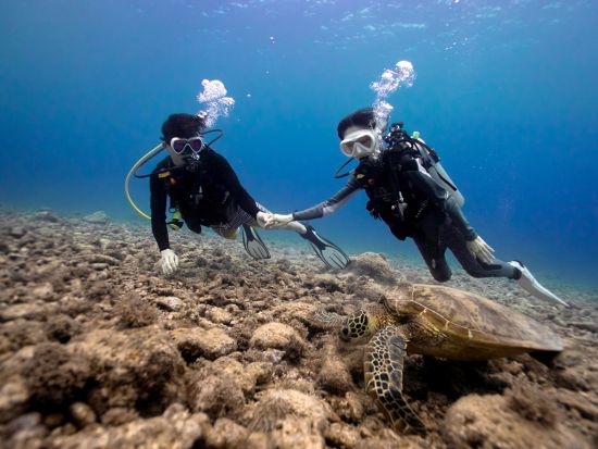 体験ダイビング ベテラン日本人インストラクターの楽しく丁寧な指導が大好評！＜ビーチ／1or2ダイブ／午前or午後＞by Dive House ANCLAH