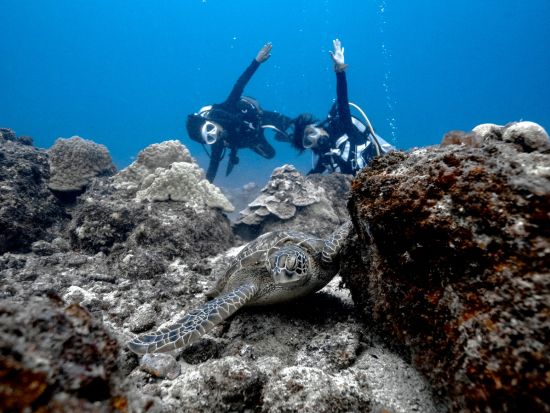 体験ダイビング ベテラン日本人インストラクターの楽しく丁寧な指導が大好評！＜ビーチ／1or2ダイブ／午前or午後＞by Dive House ANCLAH