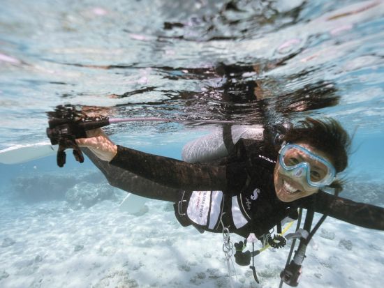 体験ダイビング ベテラン日本人インストラクターの楽しく丁寧な指導が大好評！＜ビーチ／1or2ダイブ／午前or午後＞by Dive House ANCLAH