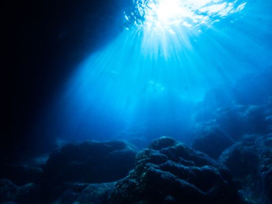 ファンダイビング 日本人インストラクターの細やかなケアが嬉しい少人数制＜ビーチorボート／1～2ダイブ／午前or午後＞by Dive House ANCLAH