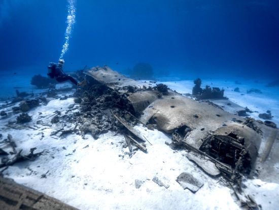 ファンダイビング 日本人インストラクターの細やかなケアが嬉しい少人数制＜ビーチorボート／1～2ダイブ／午前or午後＞by Dive House ANCLAH