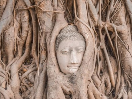電車で行くアユタヤ観光ツアー　トゥクトゥクに乗って6大遺跡巡り！象乗り体験プランあり＜1日／日本語ガイド／昼食付き／往復国鉄利用＞
