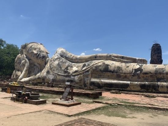 電車で行くアユタヤ観光ツアー　トゥクトゥクに乗って6大遺跡巡り！象乗り体験プランあり＜1日／日本語ガイド／昼食付き／往復国鉄利用＞