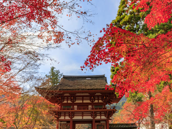 Japan_Nara_Murou-temple_pixta_45797650_L