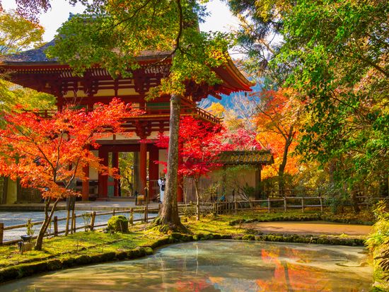 Japan_Nara_Murou-temple_pixta_17262107_室生寺