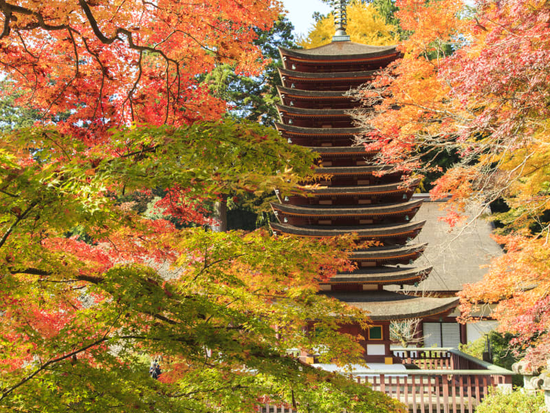 Japan_Nara_Tanzan_pixta_26291264_談山神社