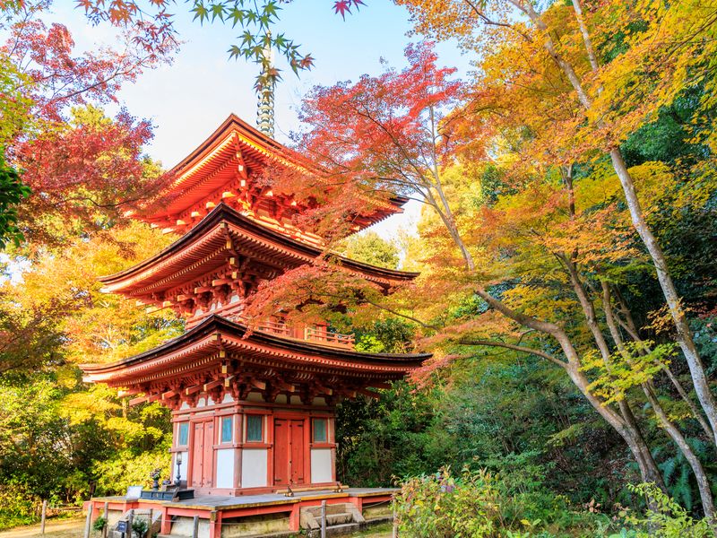 Japan_Nara_Joururi-temple_pixta_84088801_浄瑠璃寺
