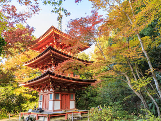 Japan_Nara_Joururi-temple_pixta_84088801_浄瑠璃寺