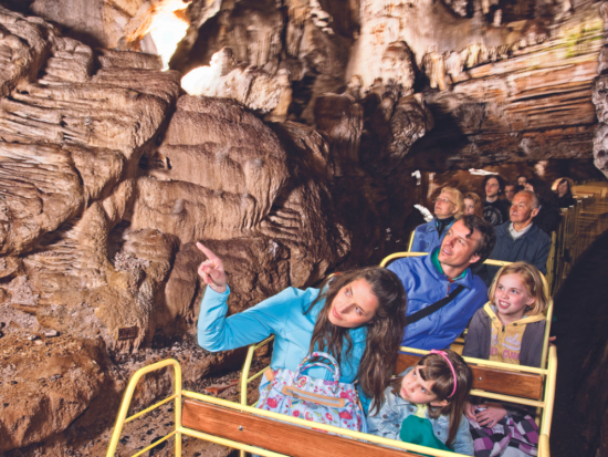 壮大なスケールに感動！ブレッド湖＆ポストイナ鍾乳洞1日観光ツアー＜リュブリャナ発＞