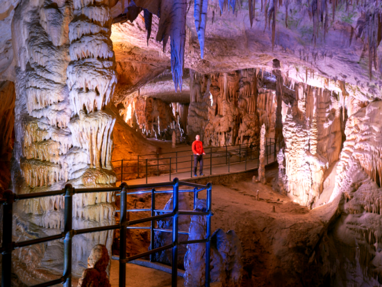 壮大なスケールに感動！ブレッド湖＆ポストイナ鍾乳洞1日観光ツアー＜リュブリャナ発＞