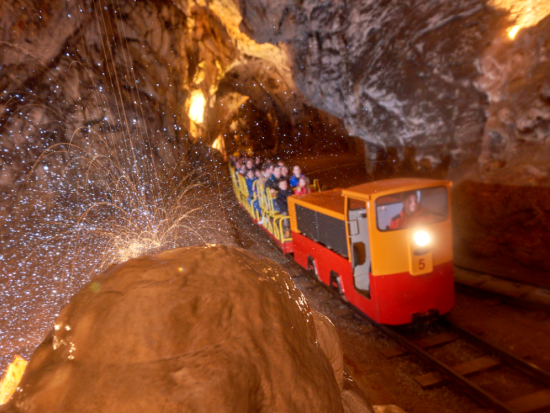 大自然の神秘を体感！ポストイナ鍾乳洞＆ブレジャマ城半日観光ツアー＜英語ガイド／リュブリャナ発＞