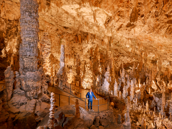 大自然の神秘を体感！ポストイナ鍾乳洞＆ブレジャマ城半日観光ツアー＜英語ガイド／リュブリャナ発＞