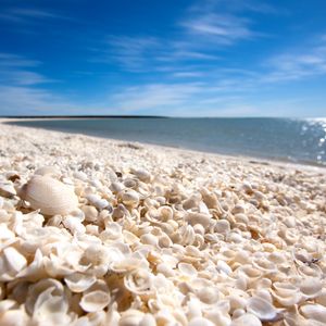 Shell Beach_shutterstock_140879062