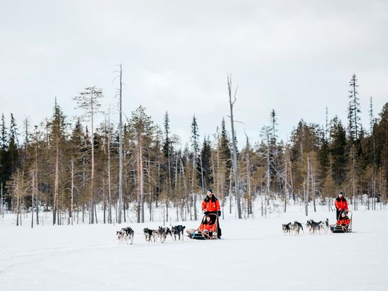 8fe1bfae-fec3-4041-996f-9cb42a40aa88