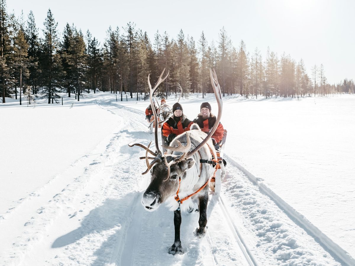 トナカイさま専用 45_c6f1f28d-3fb5-4ad1-88d9-