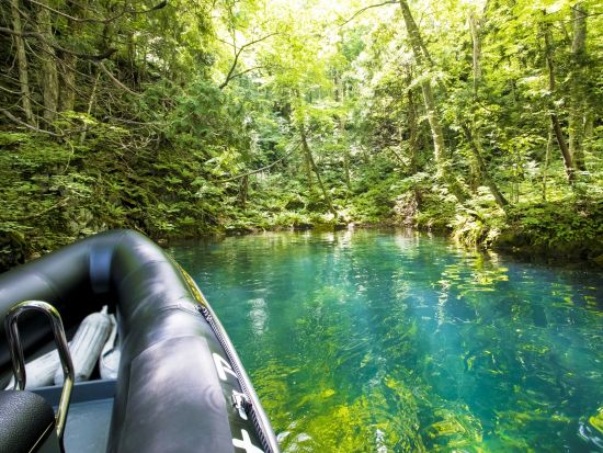 【愛犬愛猫連れOK】十和田湖パワーボートクルーズ　7つの海を旅したプロの航海士が秘境へご案内！＜4～11月／十和田湖＞by リブパイオニア