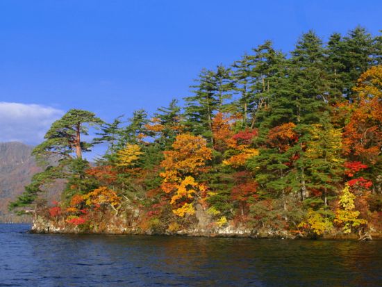 十和田湖パワーボートクルーズ　7つの海を旅したプロの航海士が秘境へご案内！ 他では体験できない十和田湖完全制覇＜4～11月／十和田湖＞by リブパイオニア