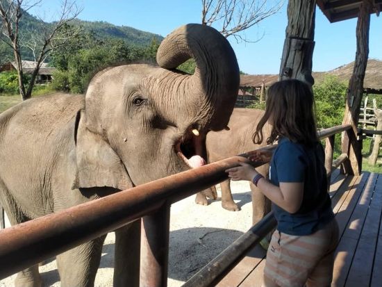 象たちとSDGsを学ぶ体験型ツアー！象の保護センターカンチャナブリ「エレファントワールド」で1日ボランティア体験＜昼食付／英語ガイド or 日本語ガイド選択可＞