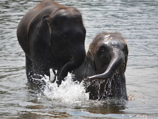 エレファントワールドDSC_4230-900x596