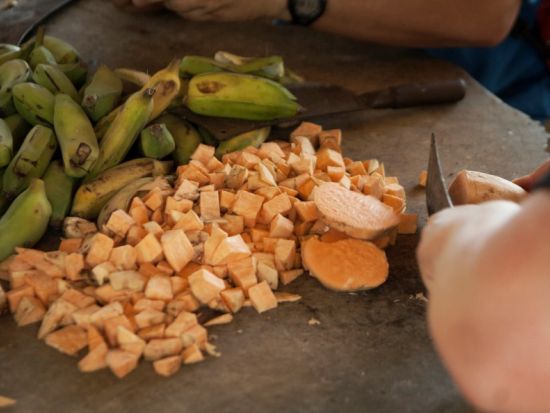 象たちとSDGsを学ぶ体験型ツアー！象の保護センターカンチャナブリ「エレファントワールド」で1日ボランティア体験＜昼食付／英語ガイド or 日本語ガイド選択可＞