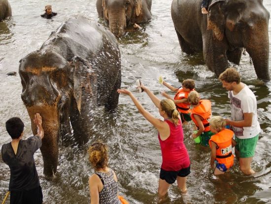 エレファントワールドDSC6477-900x654