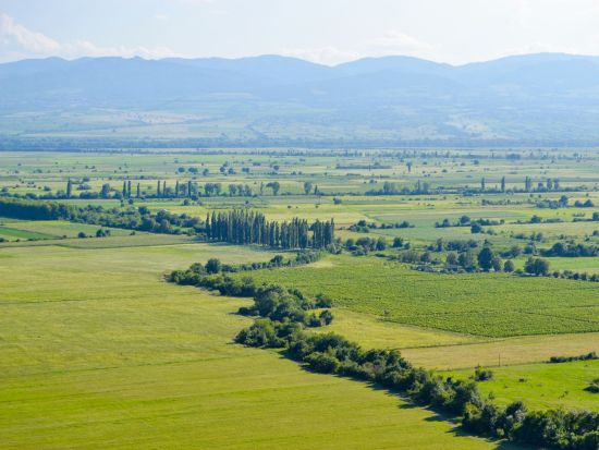 【プライベートツアー】ジョージアワインの産地・カヘティ地方 ワイナリー巡り＜車＋ガイド貸切／昼食付／トビリシ発＞