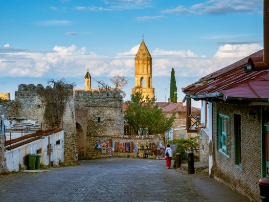 【プライベートツアー】ジョージアワインの産地・カヘティ地方 ワイナリー巡り＜車＋ガイド貸切／昼食付／トビリシ発＞