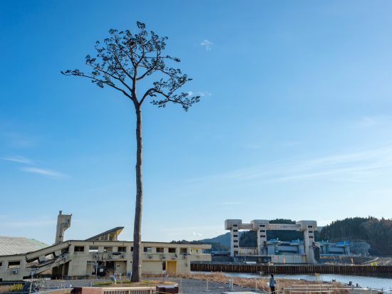 貸切観光タクシー　花巻から行く！陸前高田の奇跡の一本松+えさし藤原の郷+遠野カッパ伝説　春の桜や秋の紅葉も魅力的♪＜7時間／花巻発⇒遠野着＞