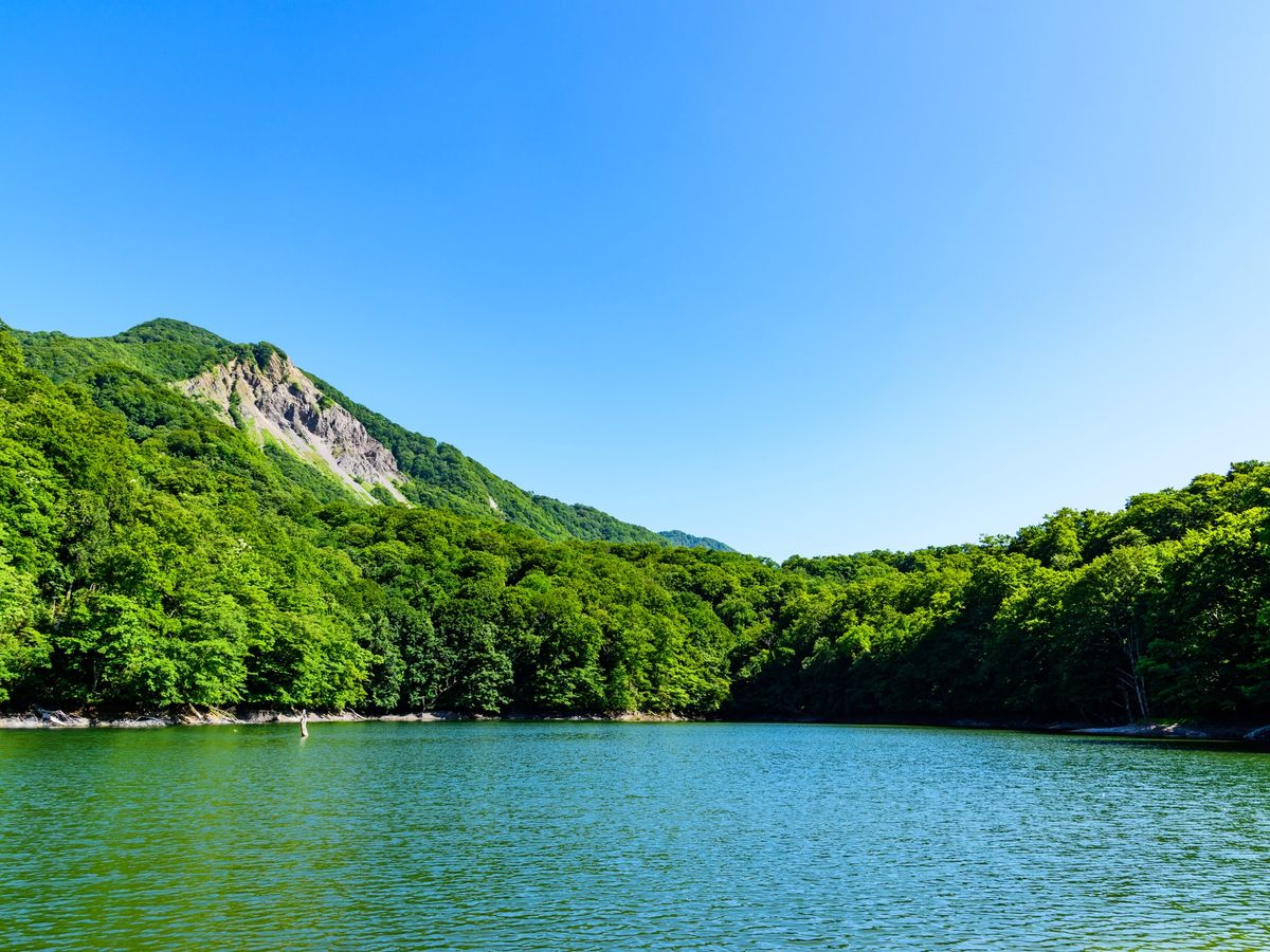 世界遺産 白神山地トレッキング・ハイキングツアー | 青森 旅行の観光