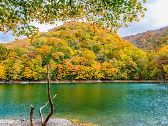 白神山地 十二湖散策ツアー 神秘的な湖沼を巡る3時間のハイキングへ！青池+沸壺の池+ブナ自然林etc ＜5～11月／物産館キョロロ集合＞by4-Ride