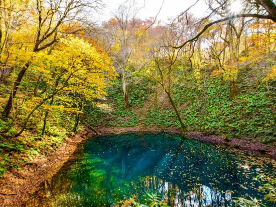白神山地 十二湖散策ツアー 神秘的な湖沼を巡る3時間のハイキングへ！青池+沸壺の池+ブナ自然林etc ＜5～11月／物産館キョロロ集合＞by4-Ride
