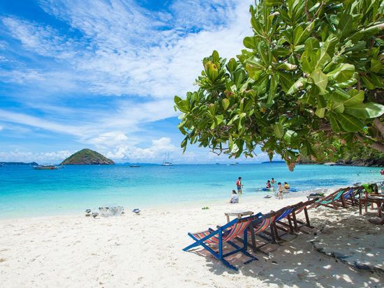 選べるコーラル島ツアー☆マリンアクティビティも楽しめる☆1日プランと午後からの半日プランをご用意！＜英語ガイド／送迎付＞