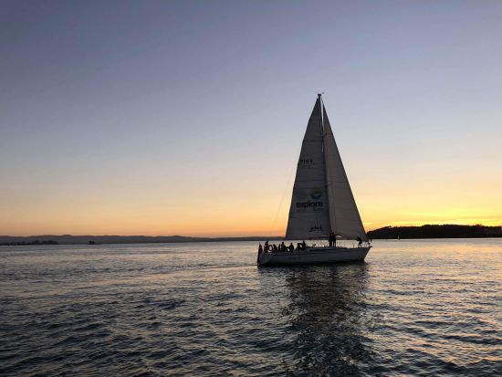 オークランドハーバーディナークルーズ　夜景を眺めながらセーリング体験＜軽食付き／オークランド発＞