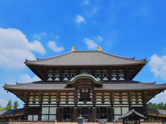 奈良定期観光バス｜東大寺＋春日大社＋興福寺 世界遺産の三社寺を巡る半日バスツアー＜約3時間／JR奈良駅・近鉄奈良駅発＞