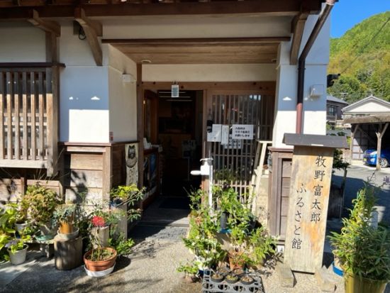 貸切観光タクシー 朝ドラ主人公「日本の植物学の父」牧野富太郎博士ゆかりの地を巡る旅！牧野植物園＋生誕地佐川町 牧野公園他＜5・7時間／高知龍馬空港・高知市内発＞