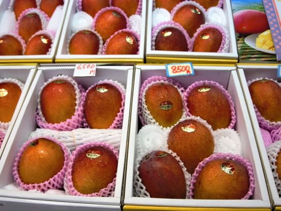 ガイドと歩く！那覇まちま～い　那覇の市場（マチグヮー）迷宮めぐり＜午前・午後／那覇 国際通り発＞