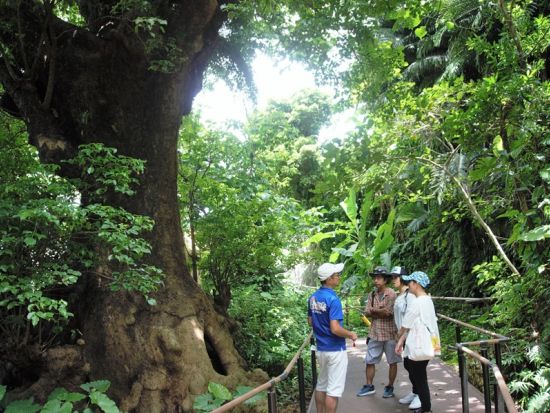 ガイドと歩く！那覇まちま～い　世界遺産 玉陵（たまうどぅん）と「金城町石畳」めぐり＜午前・午後／那覇 玉陵発＞