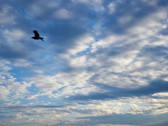 8081bc_19e35f410df74d6b91fe77ac7