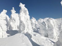 IMG_3190
