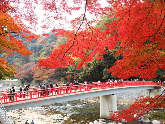 Japan_Aichi_Korankei_香嵐渓_pixta_9981735_XL