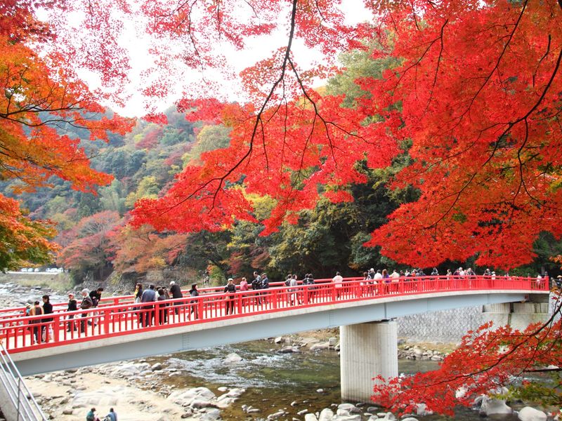 Japan_Aichi_Korankei_香嵐渓_pixta_9981735_XL