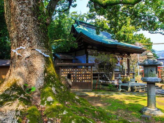神社散策ツアー　諏訪神社＋松森天満宮＋伊勢宮＋中川八幡神社　地元ガイドと楽しむ街歩き ＜午前・午後／約2時間／長崎市＞