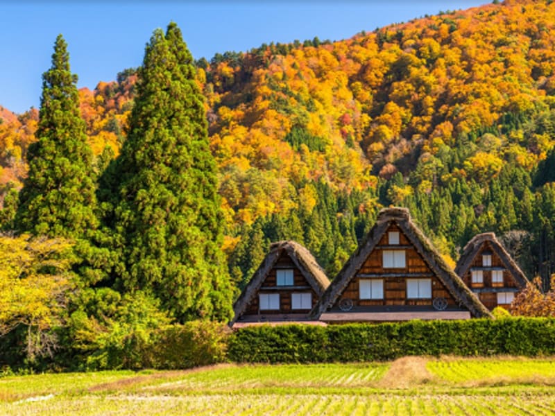 高山発 世界遺産 白川郷観光ツアー 飛騨高山 岐阜の観光 遊び 体験 レジャー専門予約サイト Veltra ベルトラ