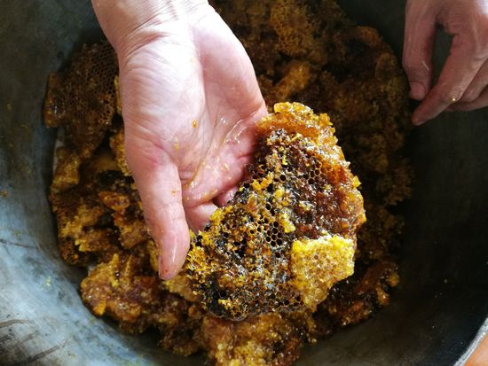 Vietnam_Mekong Delta_Honey_shutterstock_603558269